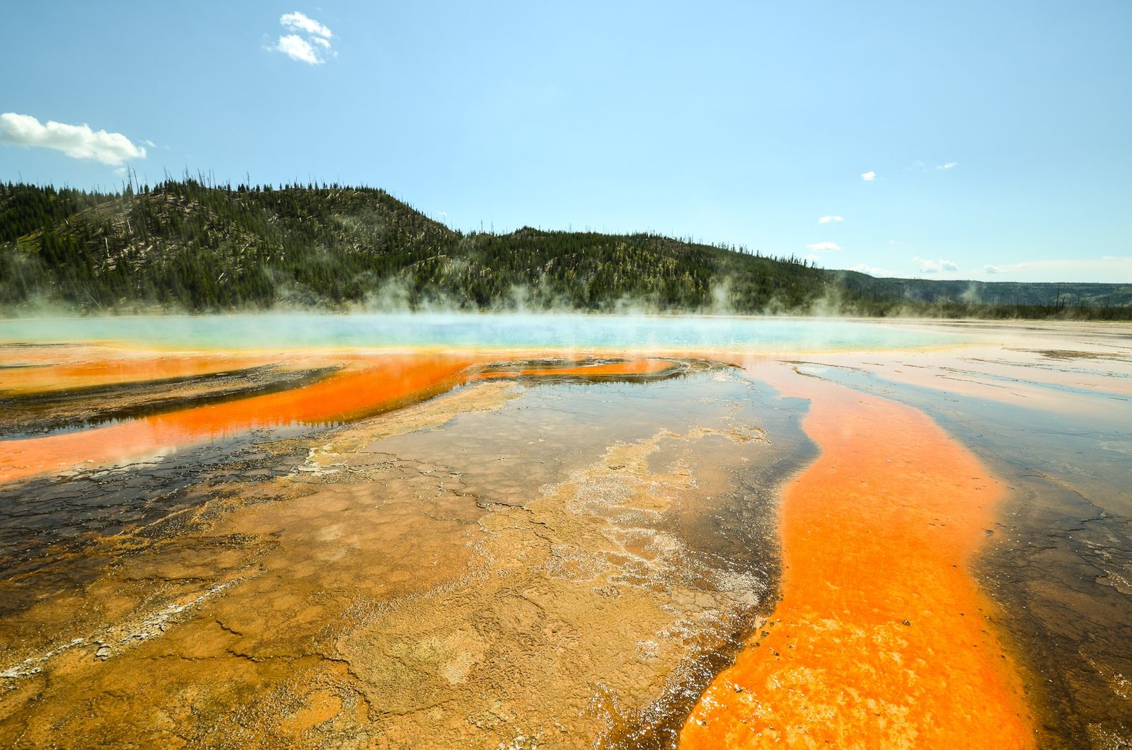 Yellowstone